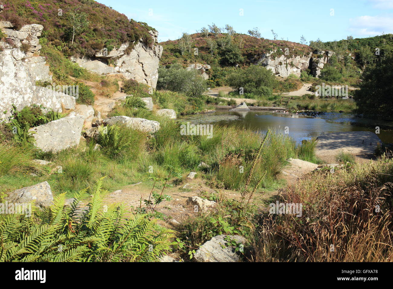 Haytor disused granite quarry, Dartmoor National Park, Devon, England
