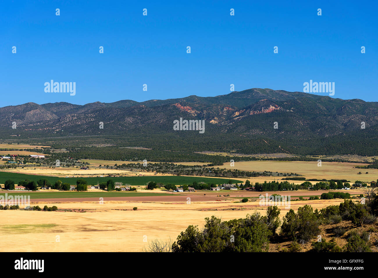 Valley of golden grass and green farm land with mountains in back ground under blue sky. Stock Photo