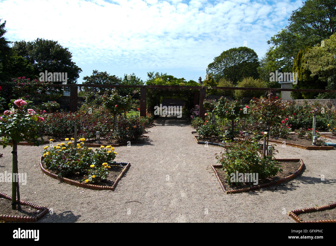 Rose garden, Howard Davis Park, Jersey. Channel Islands Stock Photo Alamy