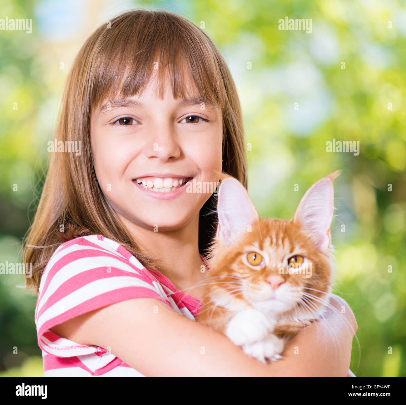 Girl with Maine Coon Stock Photo Alamy