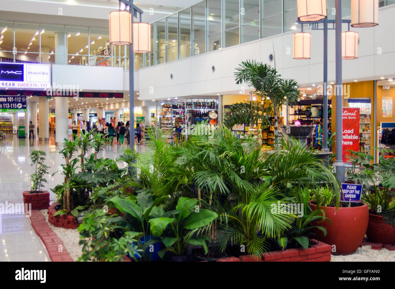 Indoor plants, Terminal 2, Manila International Airport, Philippines Stock Photo