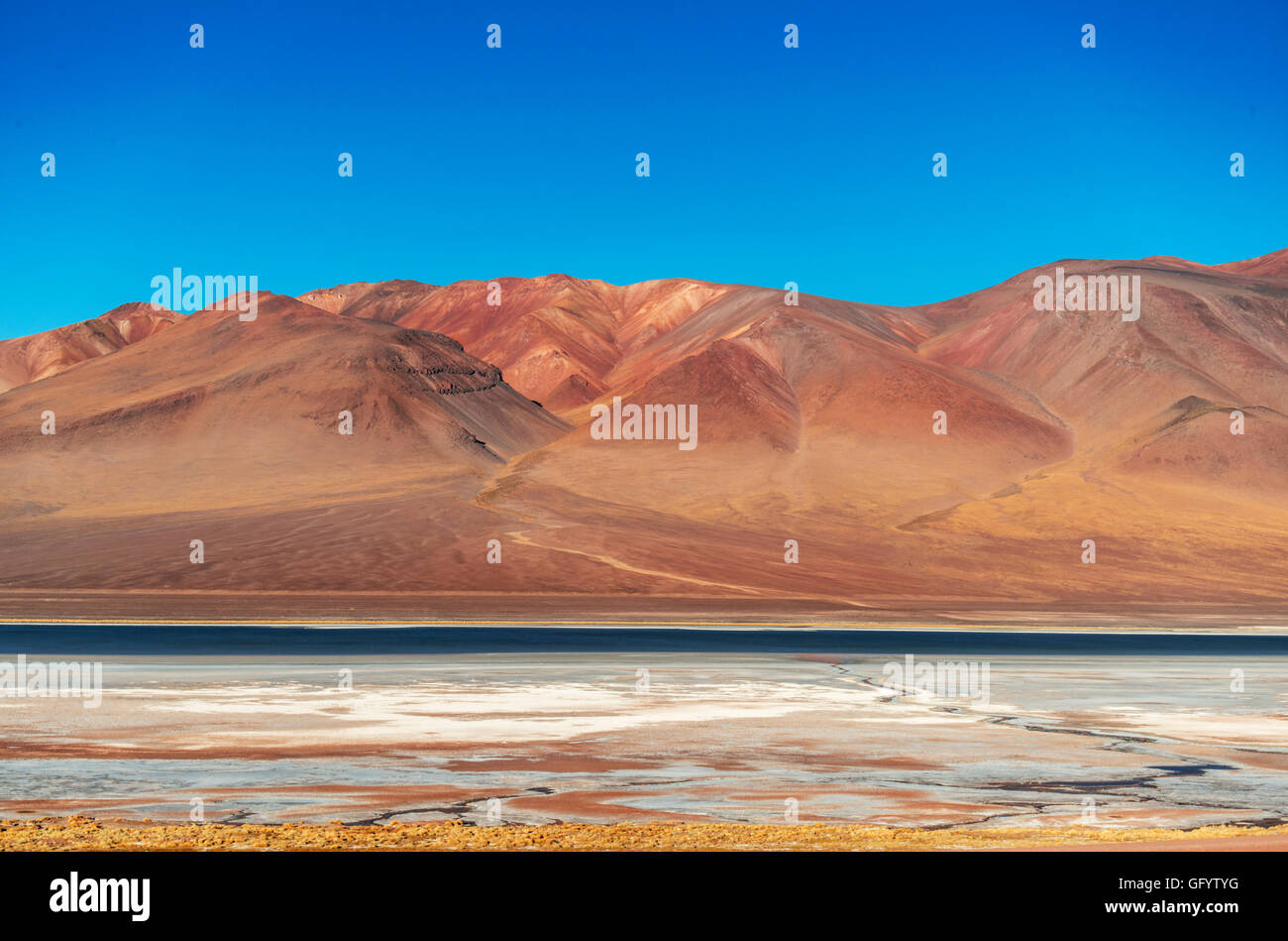 Atacama Desert in Jama Passing, border between Argentina and Chile at the northern end of both countries Stock Photo
