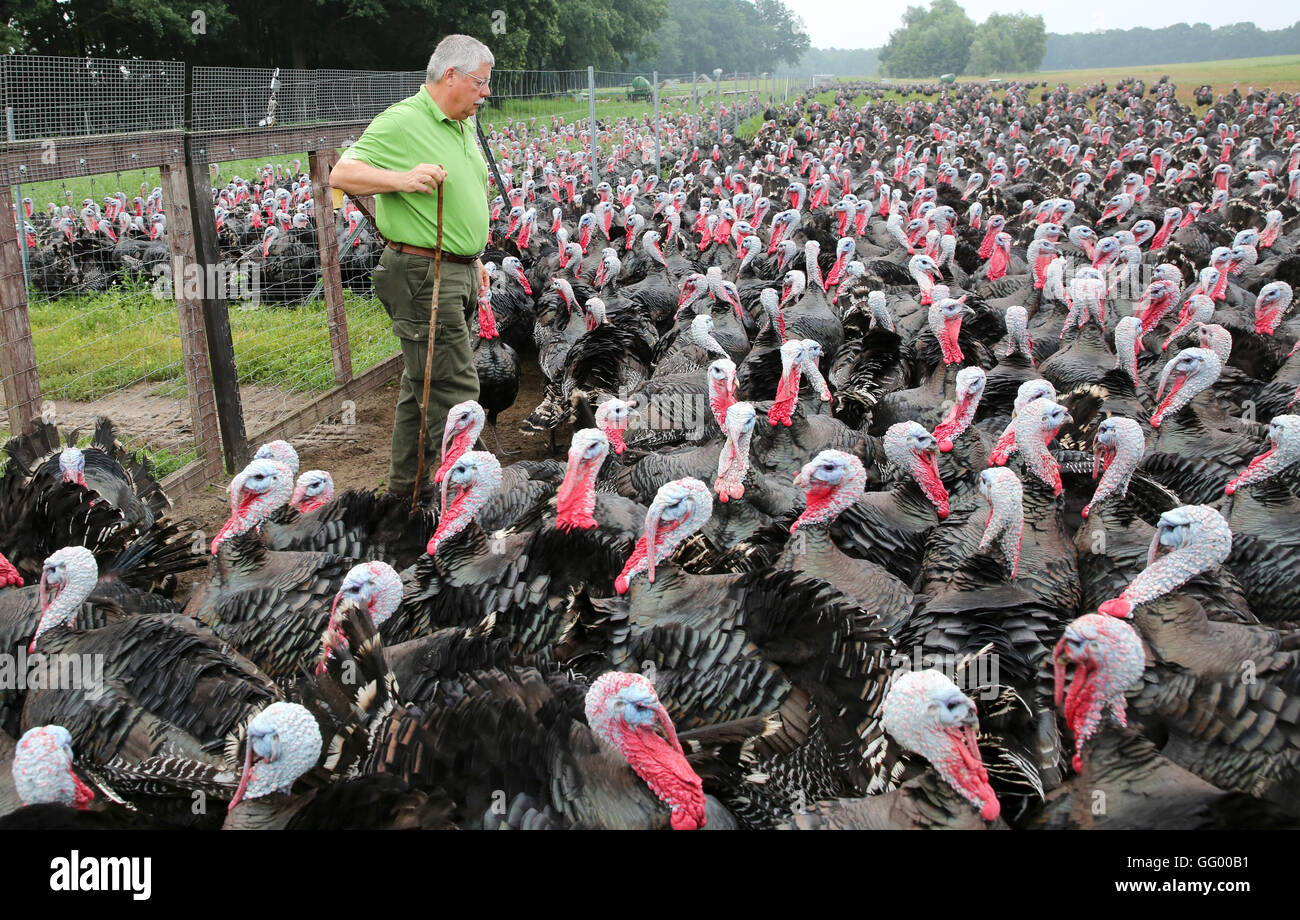 sexing-young-bronze-turkeys-sexy-gapping-pussy-pics