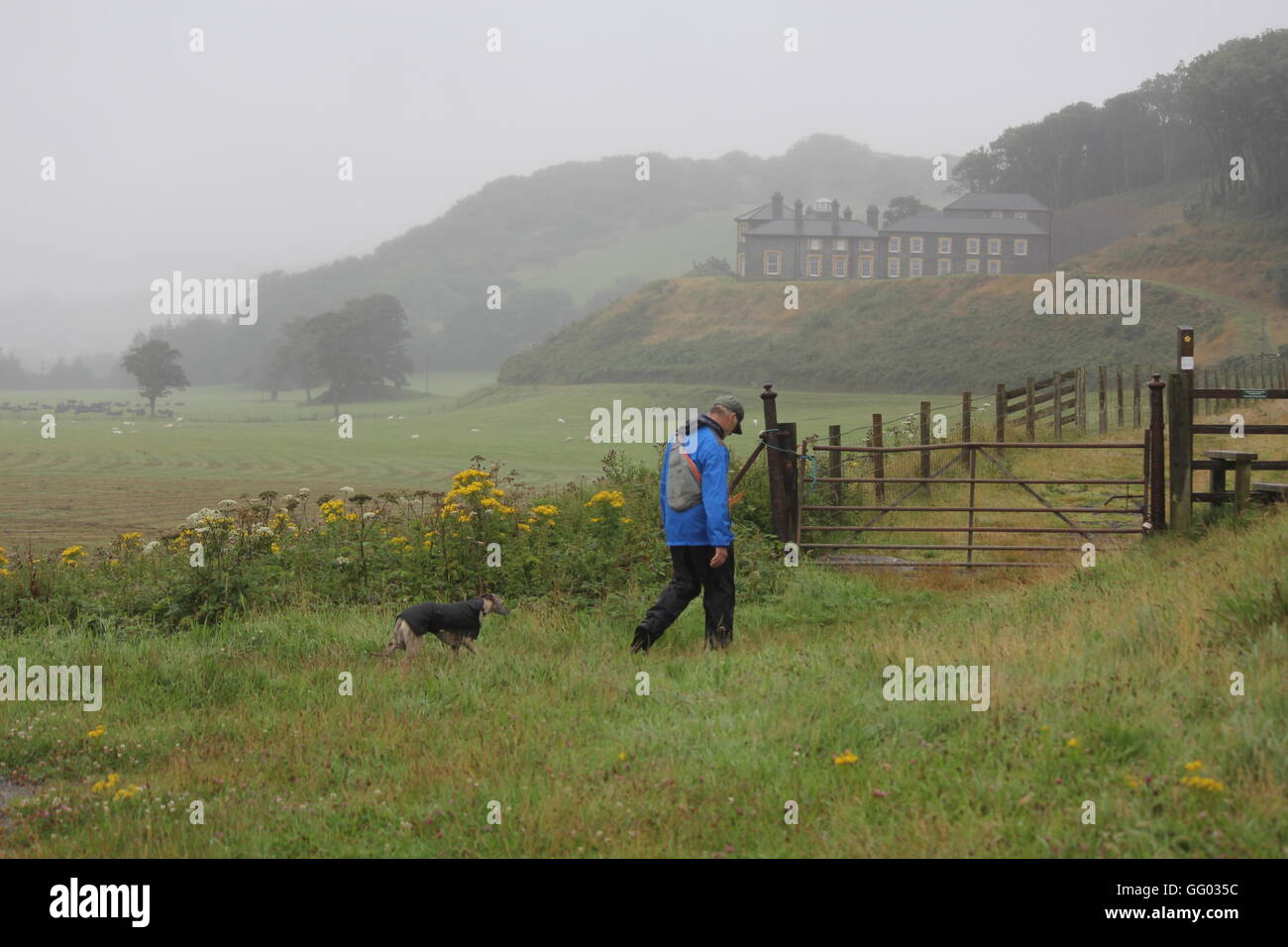 Heavy rain strong winds hi-res stock photography and images - Alamy