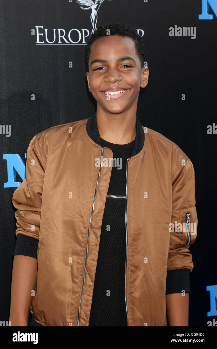 HOLLYWOOD, CA - AUGUST 01: Terrell Ransom Jr at the film premiere for ...