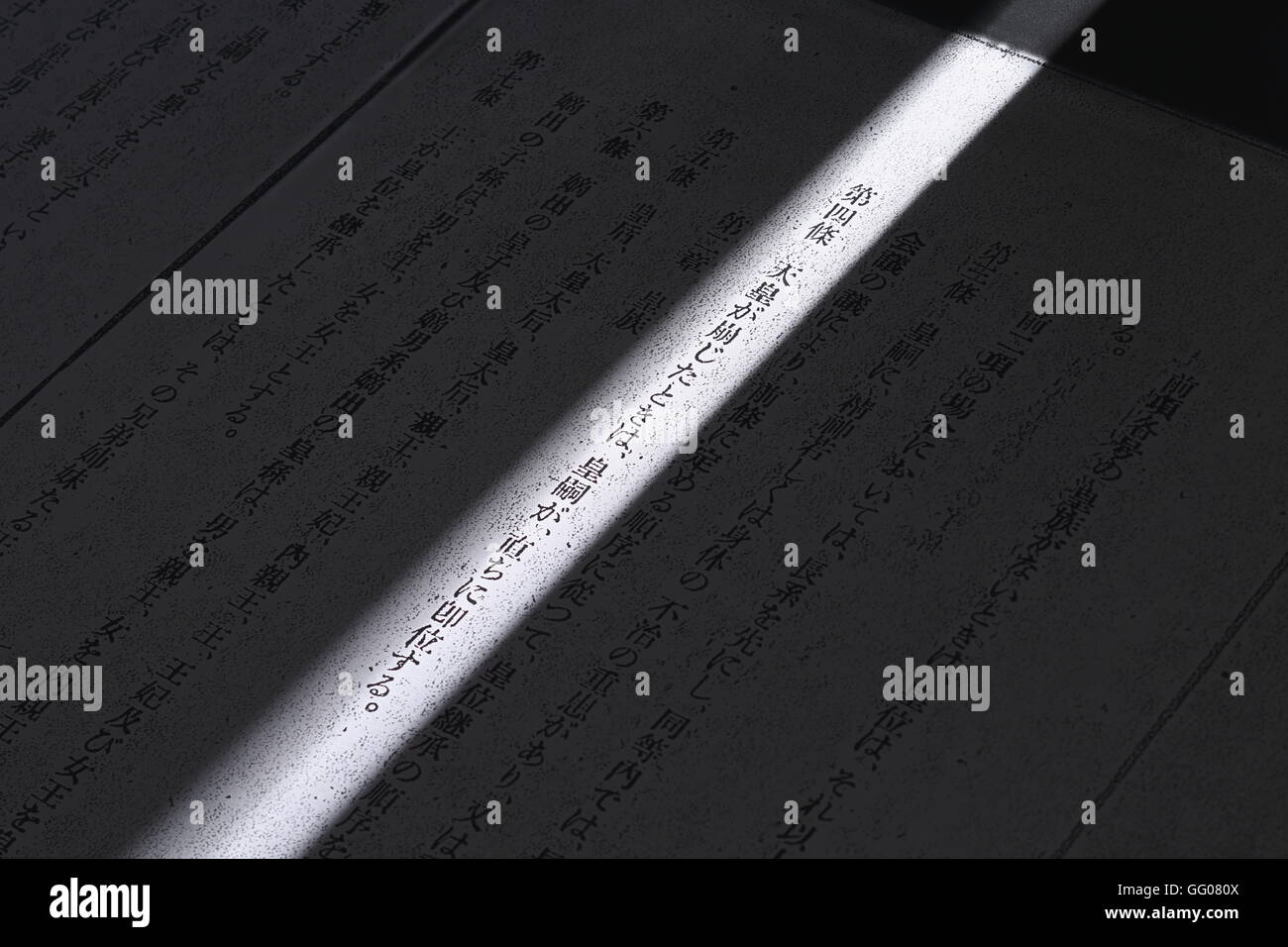 A replica of an official original copy of the Imperial House Law