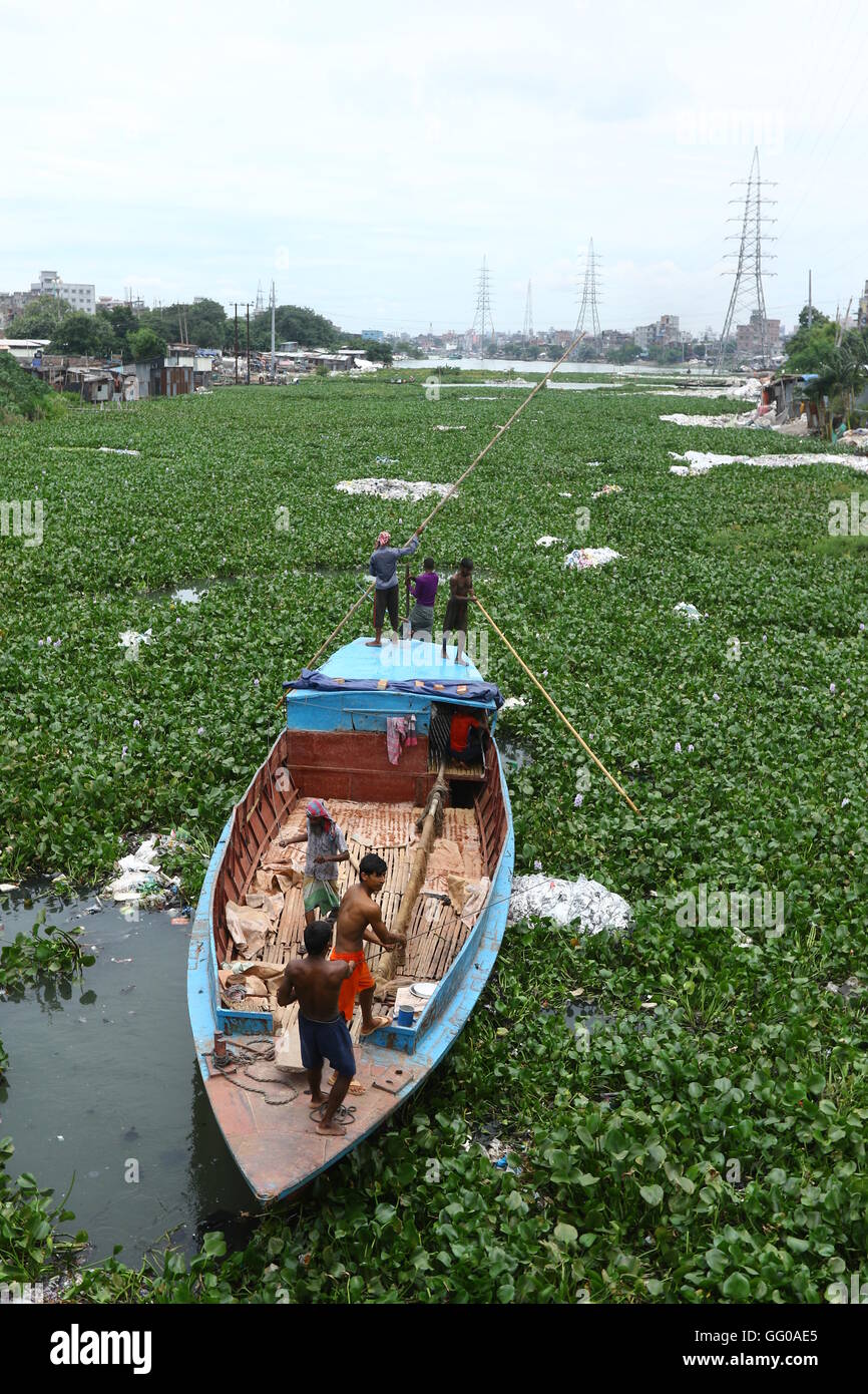 Dhaka 02 august 2016. Bangladeshi boat man struggles to make his way through a water hyacinth filled Buriganga River in Dhaka. The free floating aquatic plant is hampering the movement of boats in the river. Stock Photo