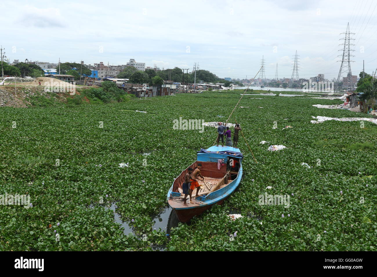 Dhaka 02 august 2016. Bangladeshi boat man struggles to make his way through a water hyacinth filled Buriganga River in Dhaka. The free floating aquatic plant is hampering the movement of boats in the river. Stock Photo