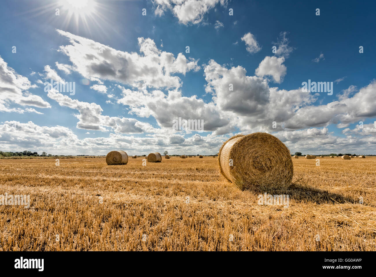 Willingham, Cambridgeshire UK. 3rd August 2016. Clouds scud across the big fen skies over freshly baled straw in the flat landscape. There was a brisk wind in warm sunshine this afternoon. The weather is forecast to continue with a mix of sun and clouds. Credit Julian Eales/Alamy Live News Stock Photo