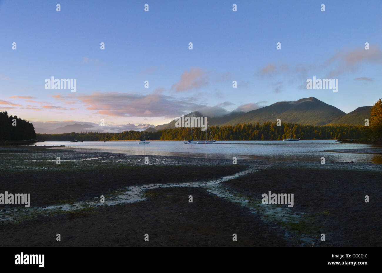 Clouds and boats in the harbor at low tide, Ucluelet, British Columbia, Canada Stock Photo