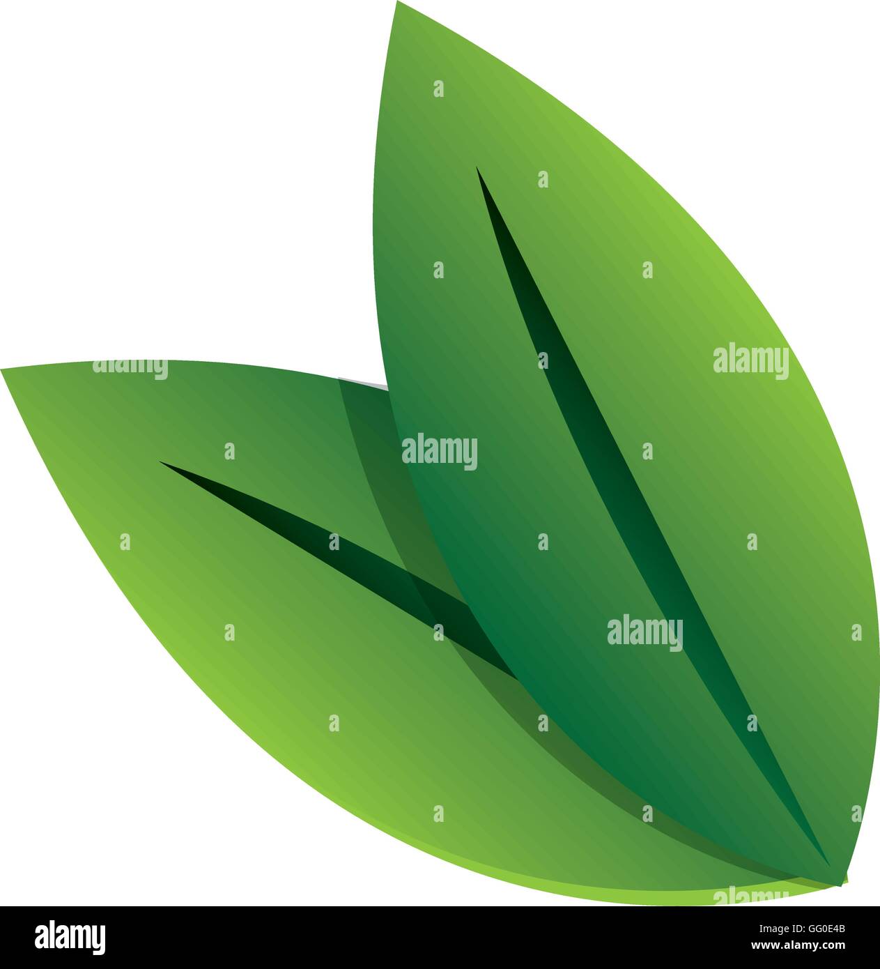 green leaves icon Stock Vector Image & Art - Alamy