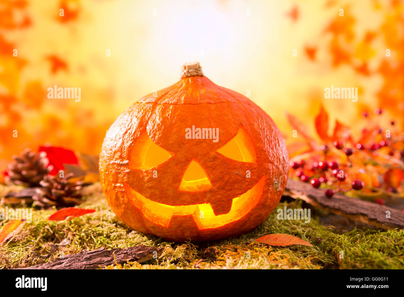 Jack O Lantern In An Autumn Nature Still Life In Bright Light Stock Jack O Lantern In An Autumn Nature Still Life In Bright Light Stock