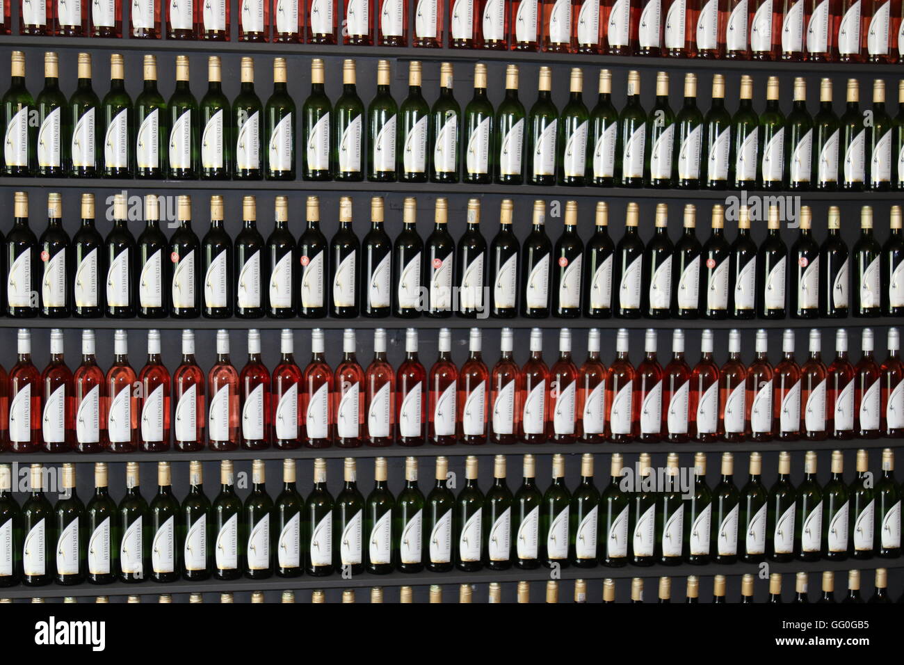Wine bottles lined up on shelves at the cellar door and wine sales at Vredenheim Wines, Stellenbosch, South Africa Stock Photo