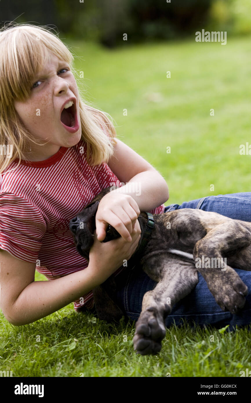 Dog playful biting young girl in hand who is screaming loud see GG0KD0 image for other picture with girl discipining the puppy dog) Stock Photo