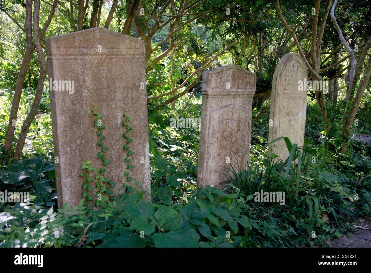 Three 18th century headstones in a Charleston, South Carolina graveyard