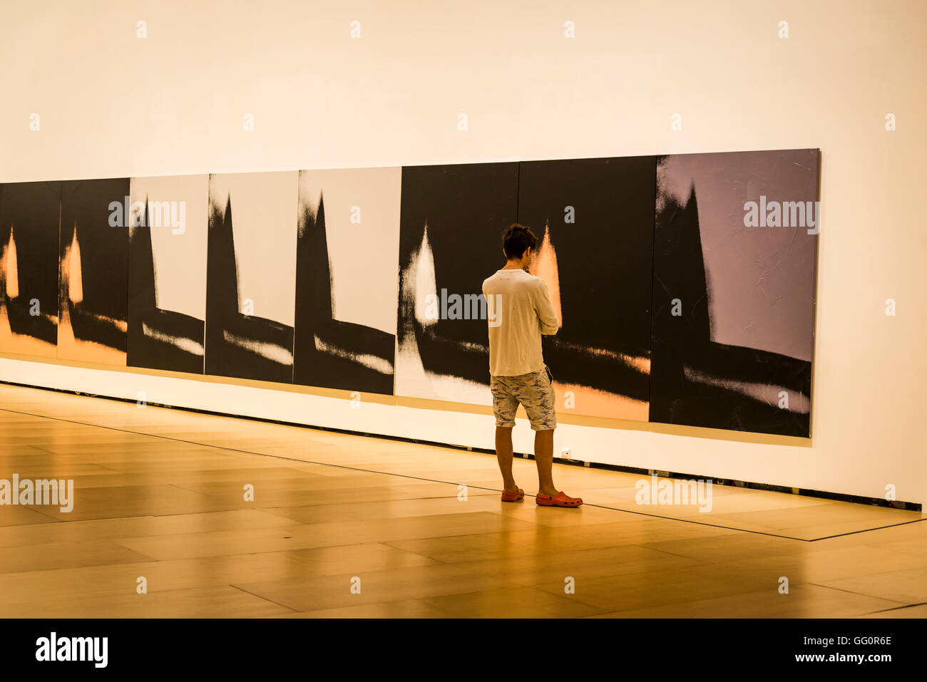 Andy Warhol exhibition Shadows,1978–79, Guggenheim Museum, Bilbao, Basque Country, Spain Stock Photo