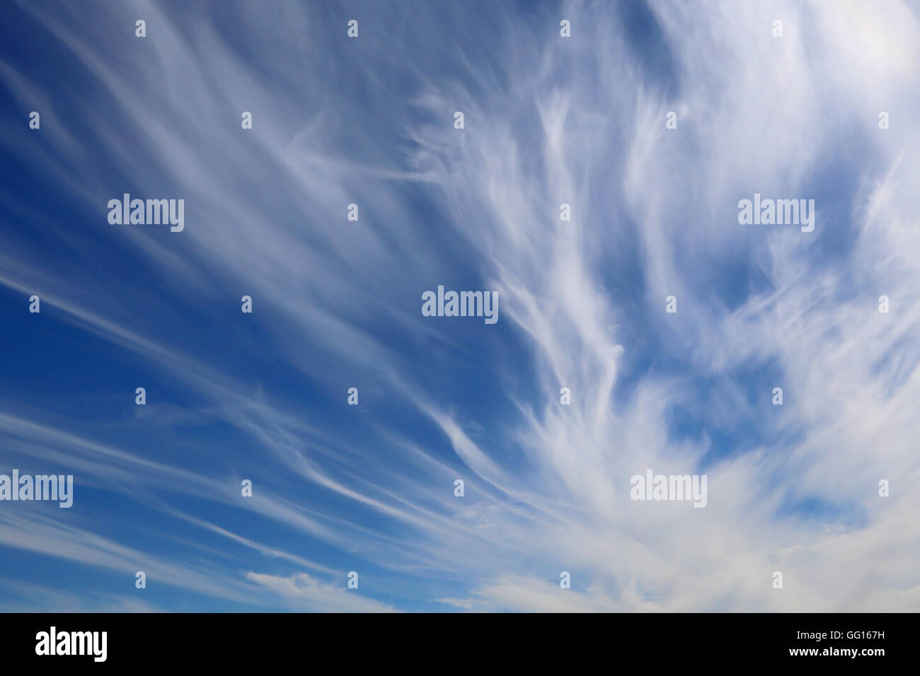 strange high white cirrostratus in the blue sky after the storms in summer Stock Photo