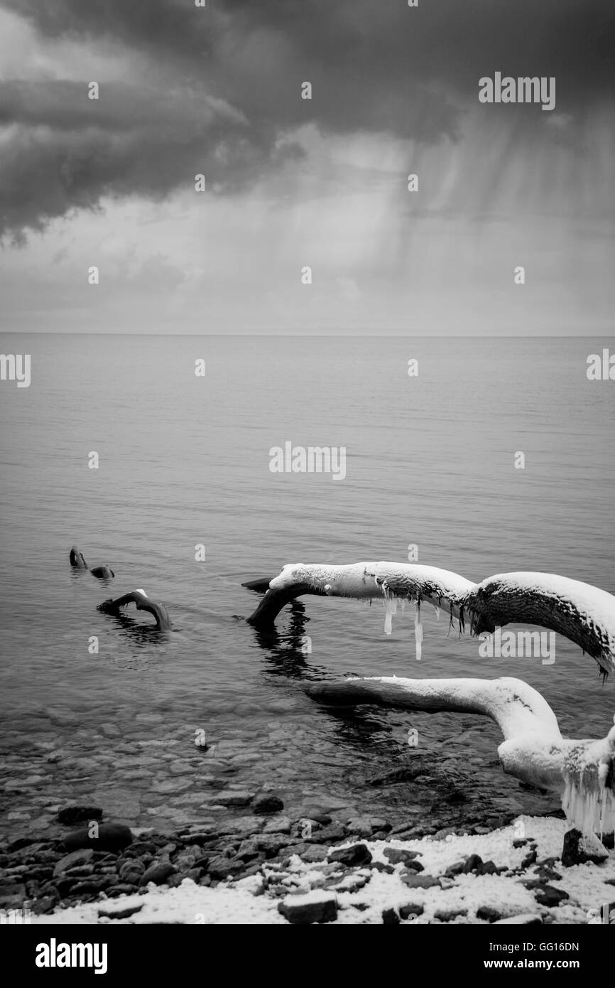 Baltic sea with sun in summer Black and White Stock Photos & Images - Alamy