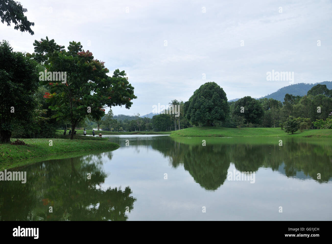 Taiping hi-res stock photography and images - Alamy