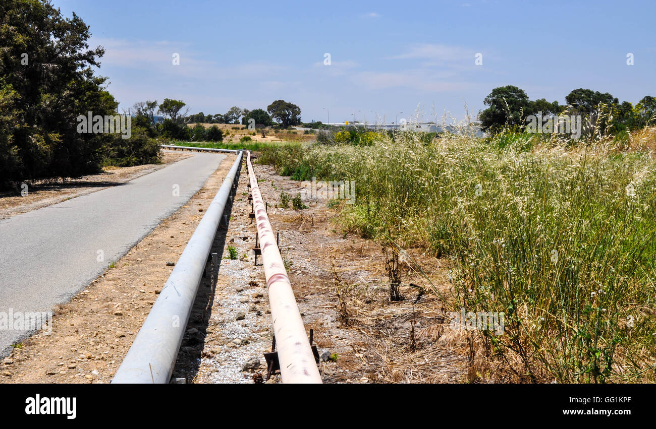 Pipe grasses hi-res stock photography and images - Alamy