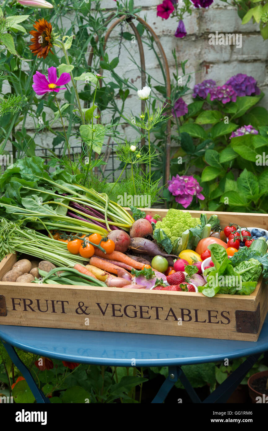 Wooden tray of harvested fruit and vegetables in an English cottage garden Stock Photo