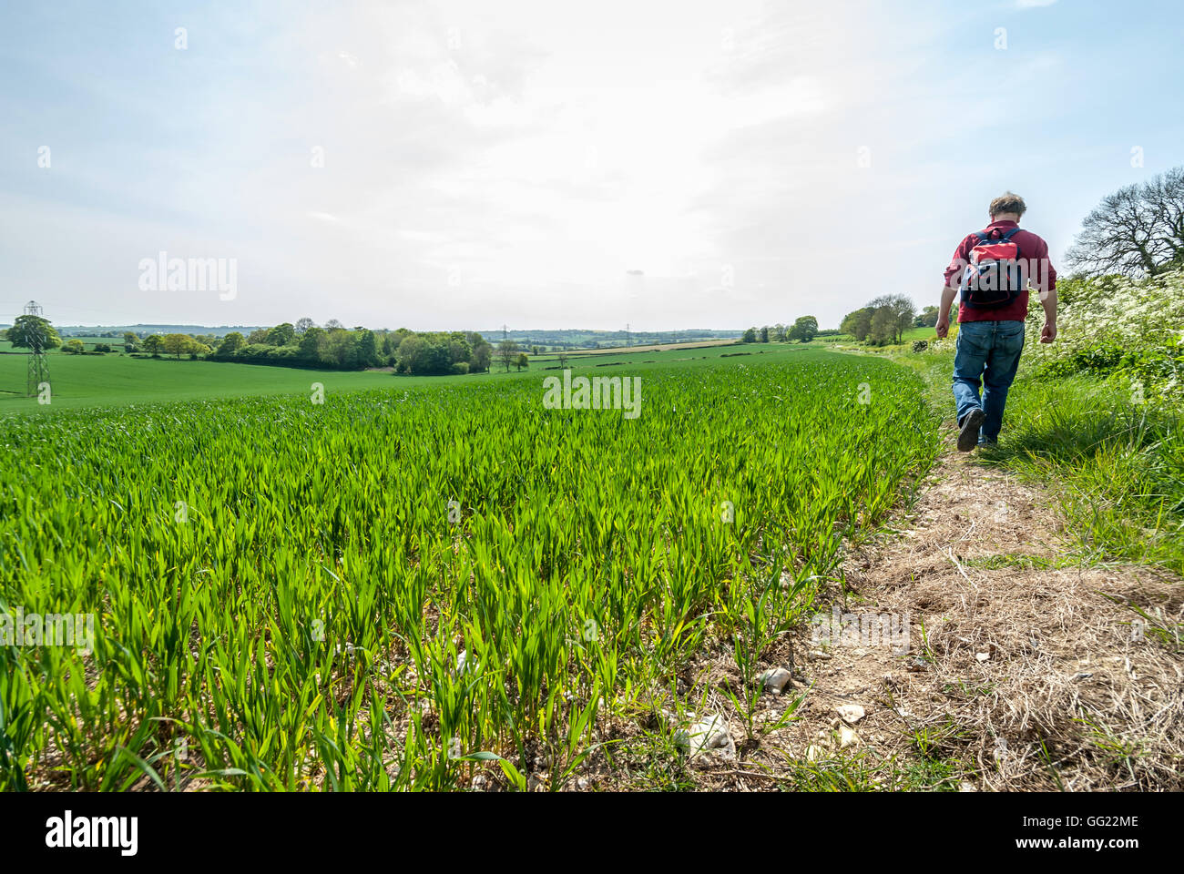 A field in Hampshire, the site of the Battle of Cheriton in the English Civil War, March 29th 1644. Stock Photo