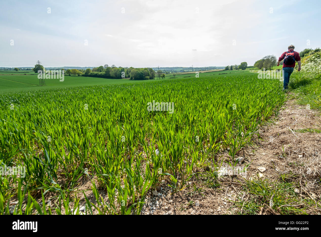 A field in Hampshire, the site of the Battle of Cheriton in the English Civil War, March 29th 1644. Stock Photo