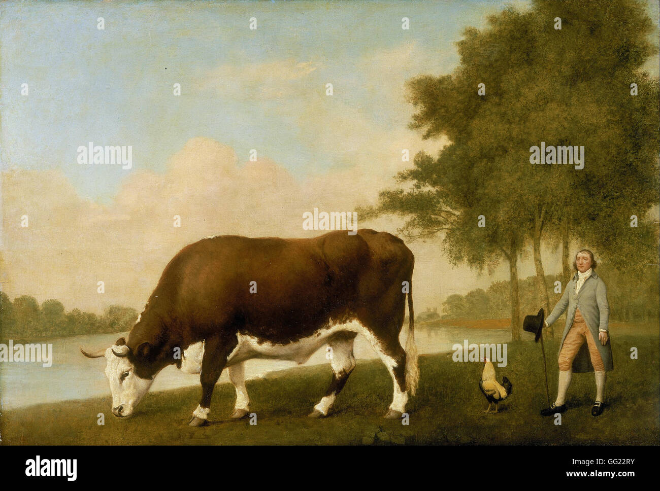 George Stubbs - The Lincolnshire Ox Stock Photo