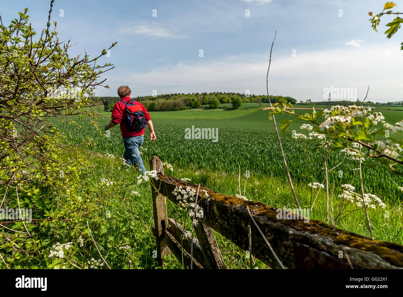 A field in Hampshire, the site of the Battle of Cheriton in the English