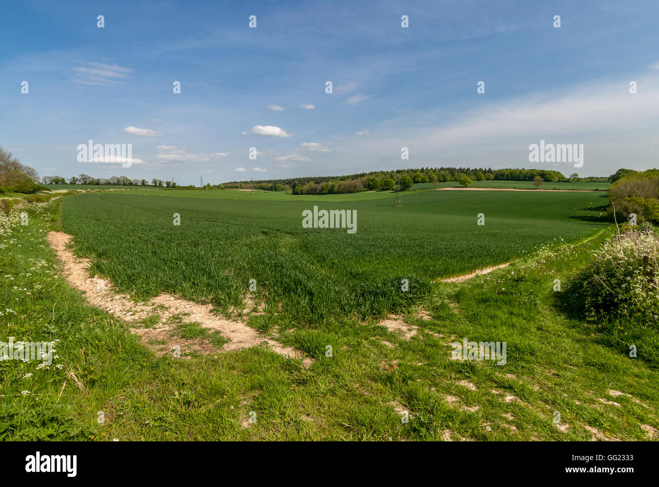 A field in Hampshire, the site of the Battle of Cheriton in the English Civil War, March 29th 1644. Stock Photo