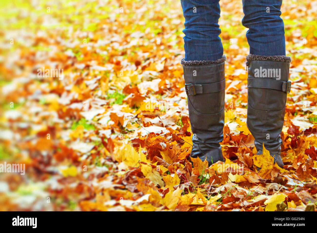Walk autumn leaves woman hi-res stock photography and images - Alamy
