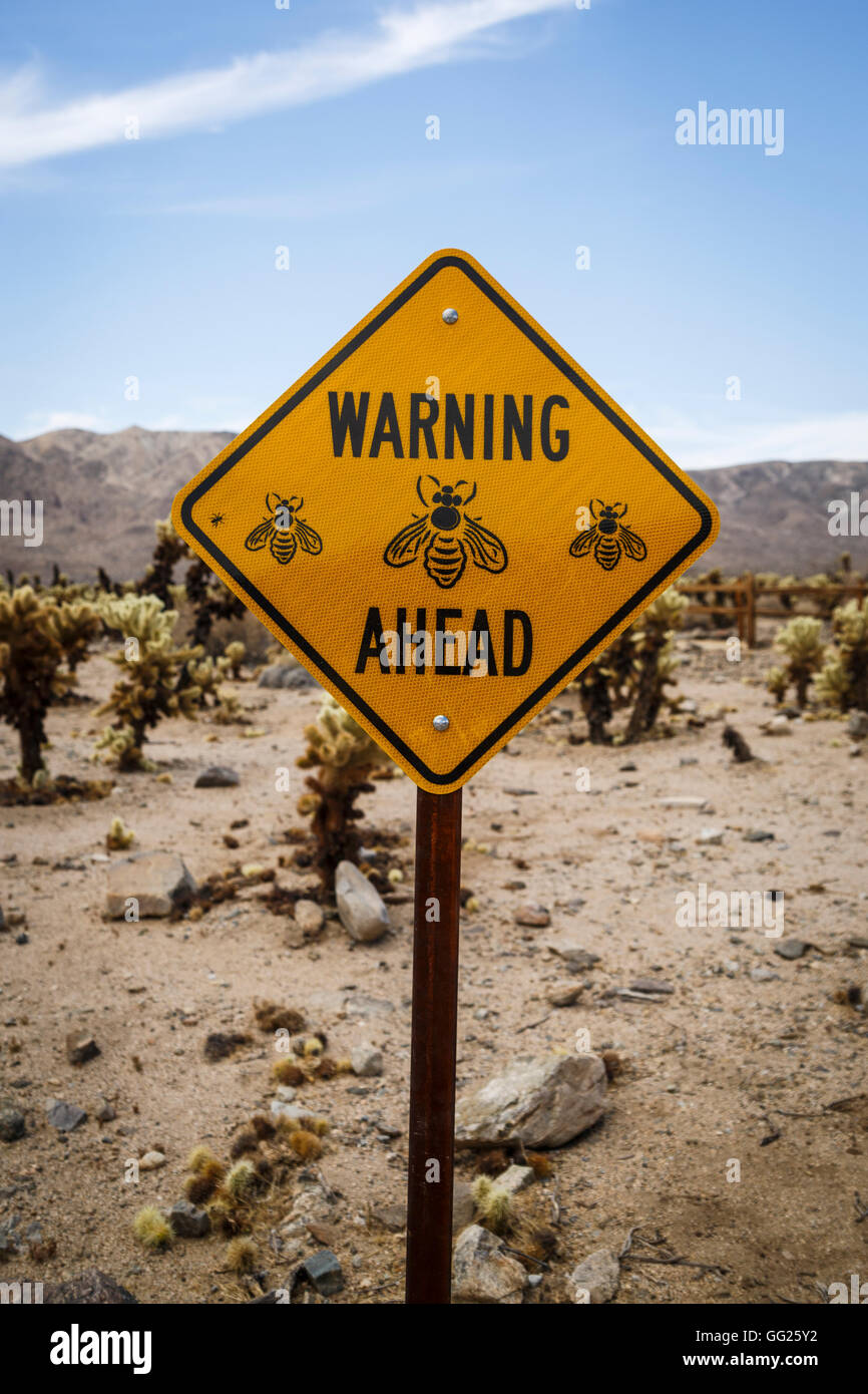 Warning sign, Cholla Cactus Garden in Joshua Tree National Park, California, USA Stock Photo