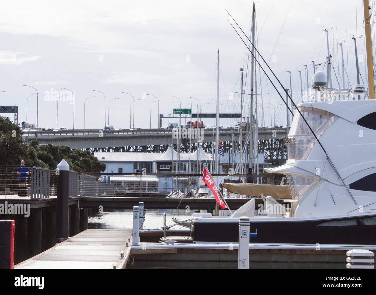 Auckland harbour Bridge from Westhaven Marina Stock Photo Alamy
