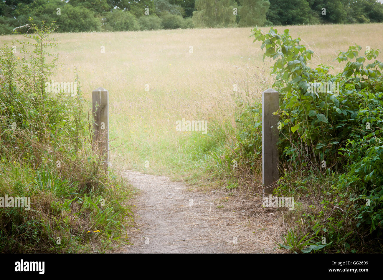 summer sunlight over a hazy meadow and footpath Stock Photo