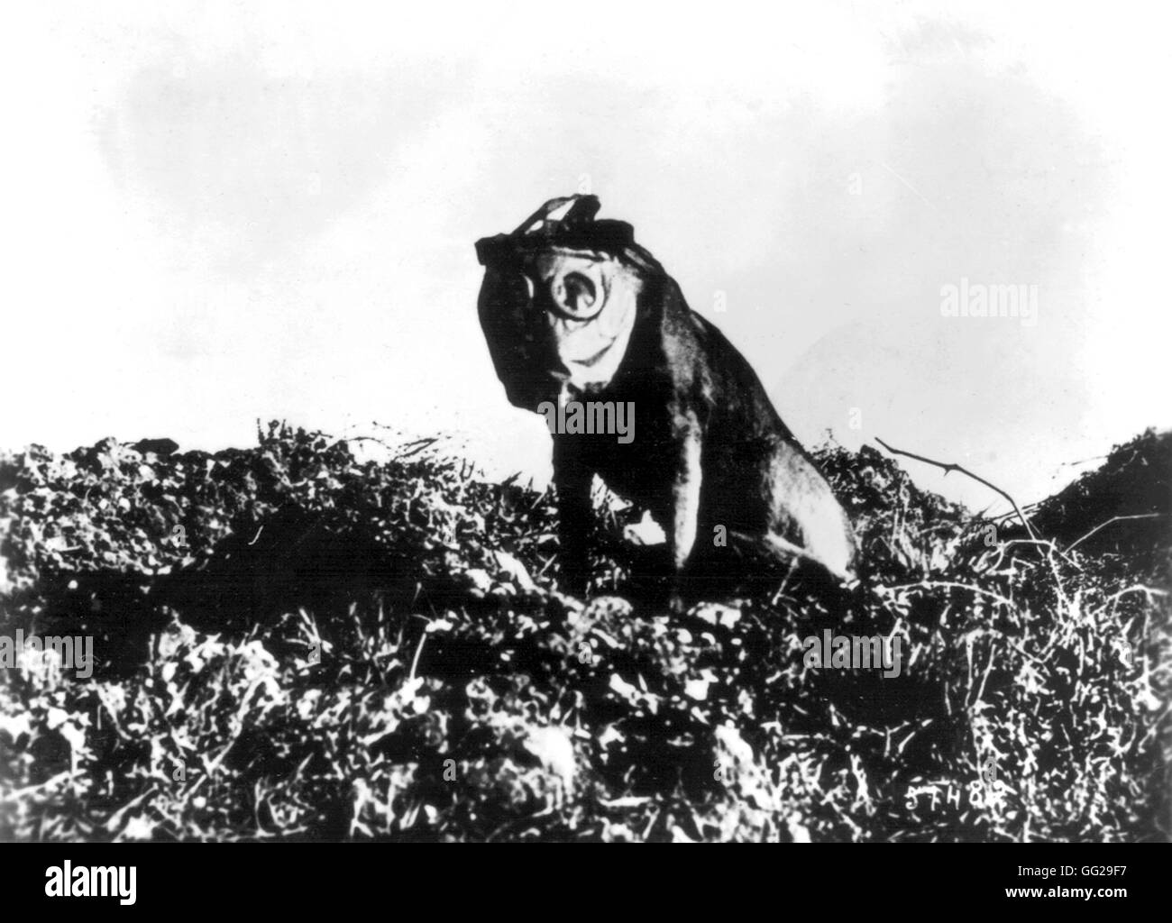 Photograph by Rol, dog wearing a gas mask 1918 France - World War I Paris. Bibliothèque nationale Stock Photo