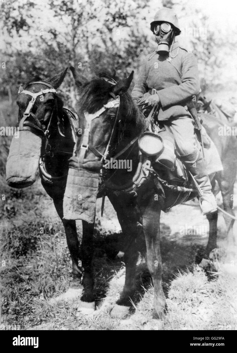German soldier on horseback wearing a gas mask  Germany - World War I Bruxelles. Musée de la guerre Stock Photo