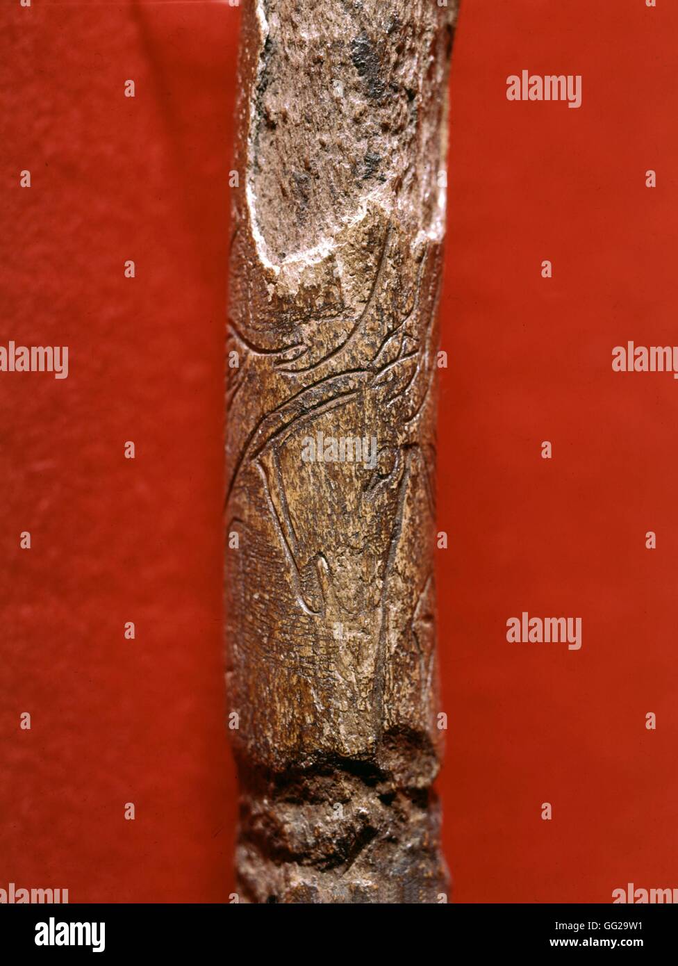 Engraved bone by Lortet Prehistory France Musée des antiquités préhistoriques, St-Germain en Laye Stock Photo