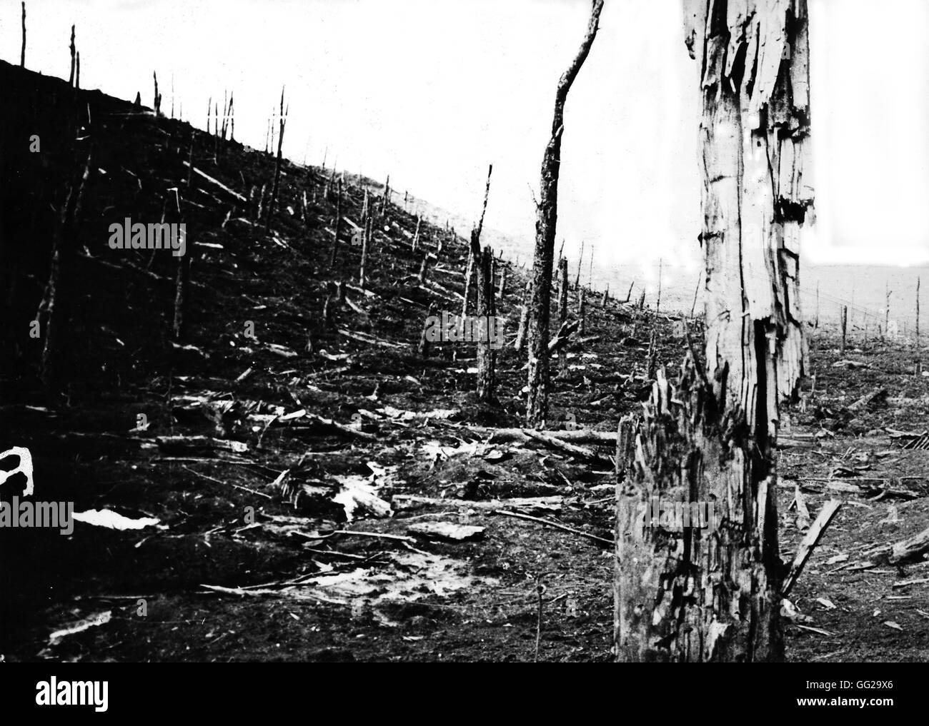 The Death Gully in Douaumont, France France, World War I Stock Photo
