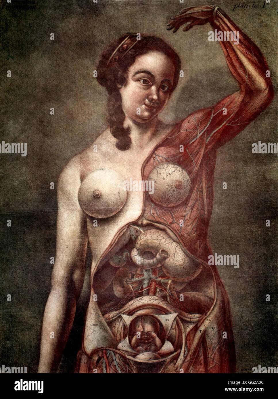 Gautier d'Agoty Woman's Anatomy 18th century Medicine Stock Photo
