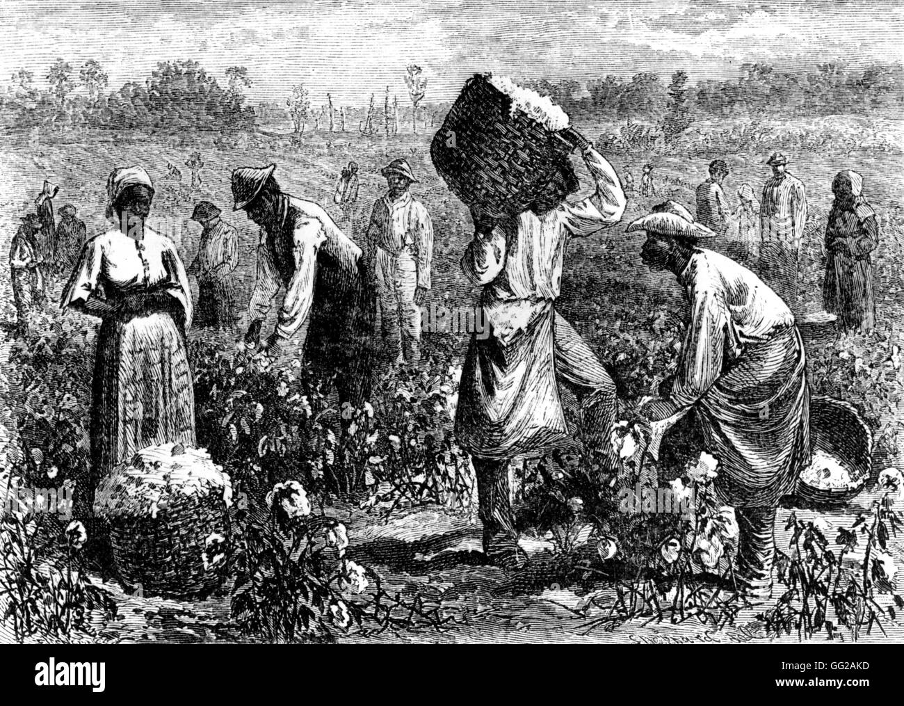 A coton plantation 1875 United States Paris. National Library Stock Photo