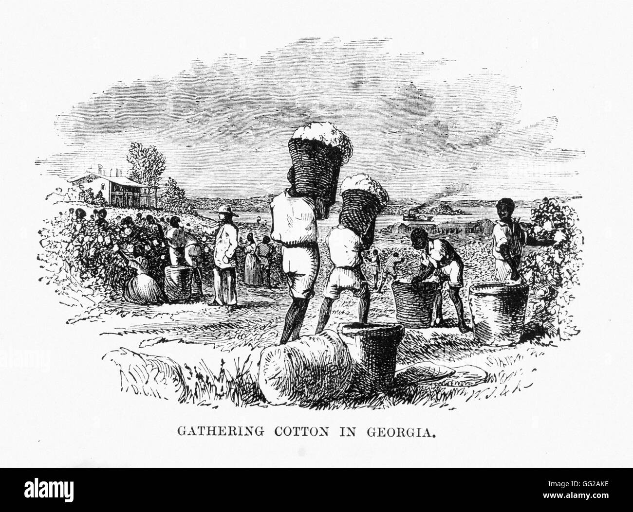 Cotton picking in Georgia 1875 United States Paris. National Library Stock Photo