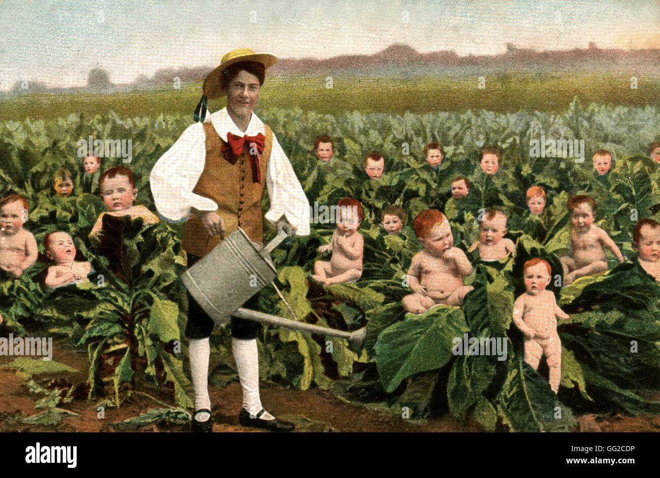 Humorous card: everybody knows that babies were born in cabbages 1900 France Stock Photo