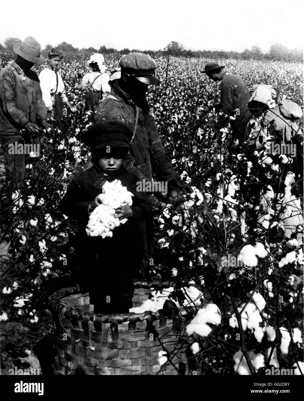 Carolina cotton plantation Black and White Stock Photos & Images Alamy