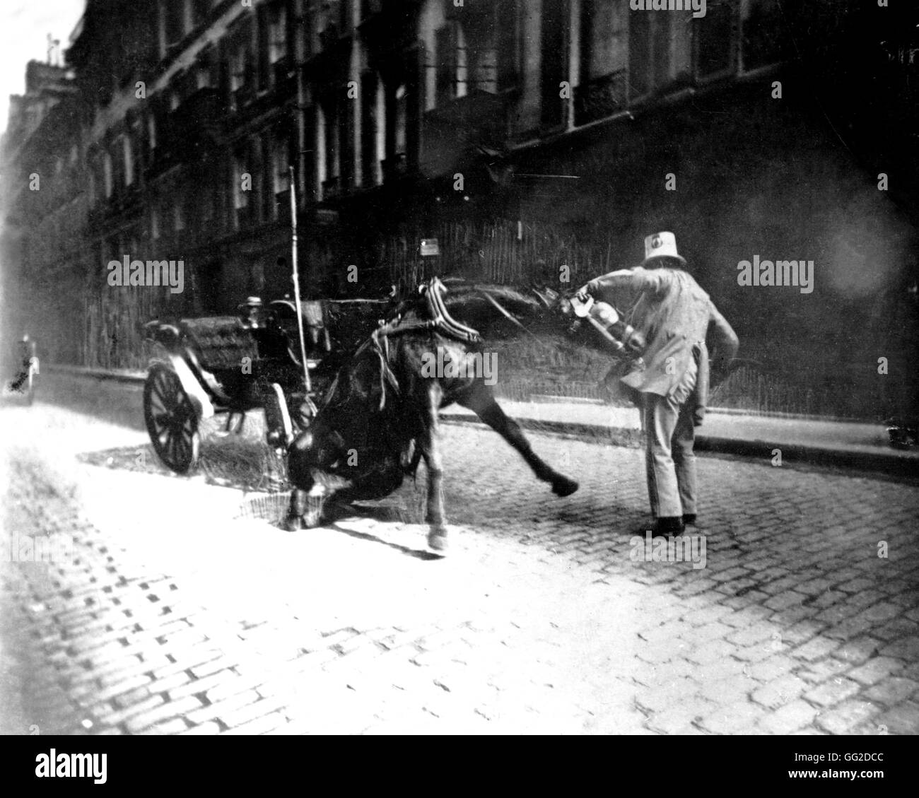 Eugène Atget (1856-1927) Stubborn horse 1898 France Stock Photo