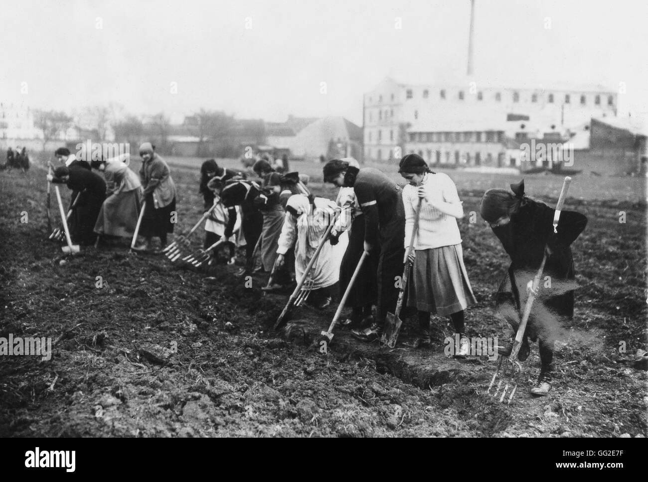 Women working in fields during world war I 1917 France, World War I Stock Photo