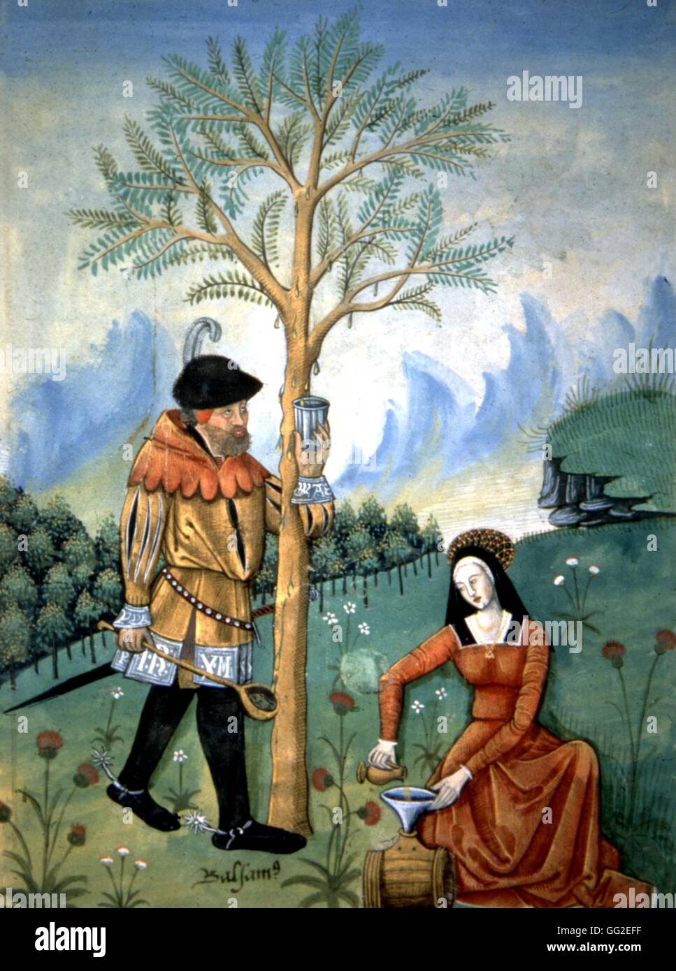 Matearius, a man and a woman collecting a curative sap 15th century Miniature Paris. Bibliothèque de l'école de médecine Stock Photo