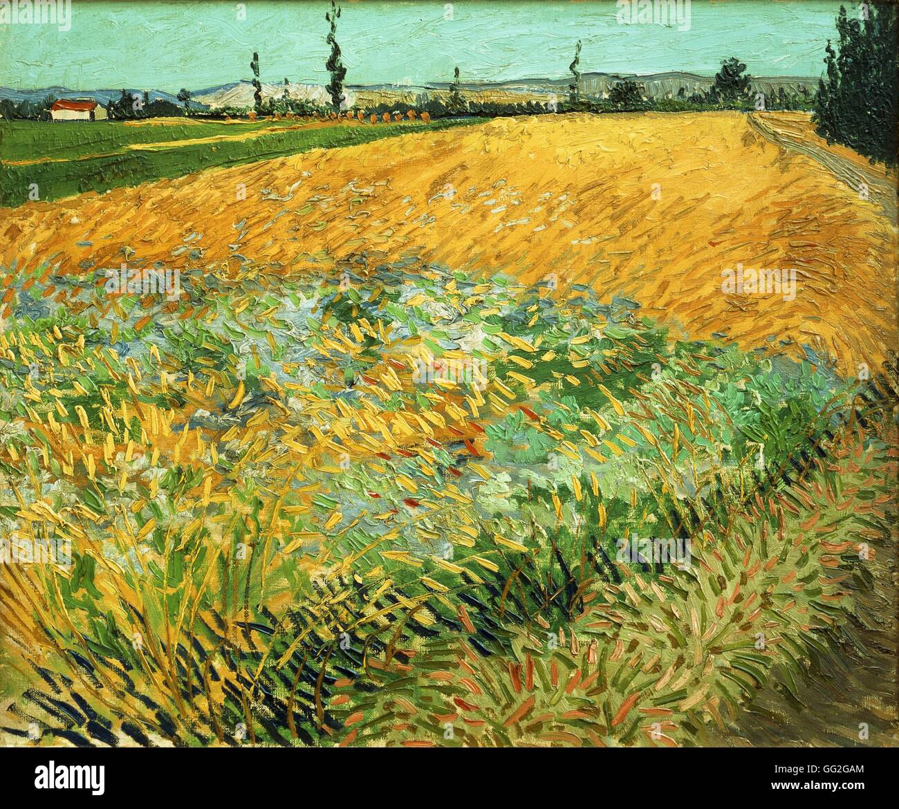 Vincent van Gogh Dutch school Wheatfield June 1888 Oil on canvas (54 x 65 cm) Amsterdam, Van Gogh Museum Stock Photo
