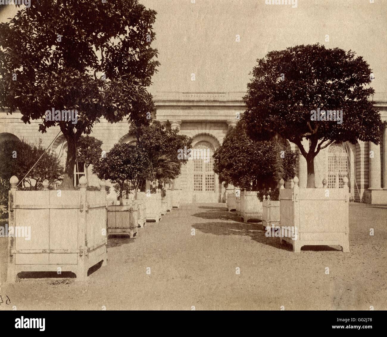Eugène Atget The Versailles Orangerie c.1900 Albumen print after glass-plate negative (16.9 x 21.3 cm) Private collection Stock Photo