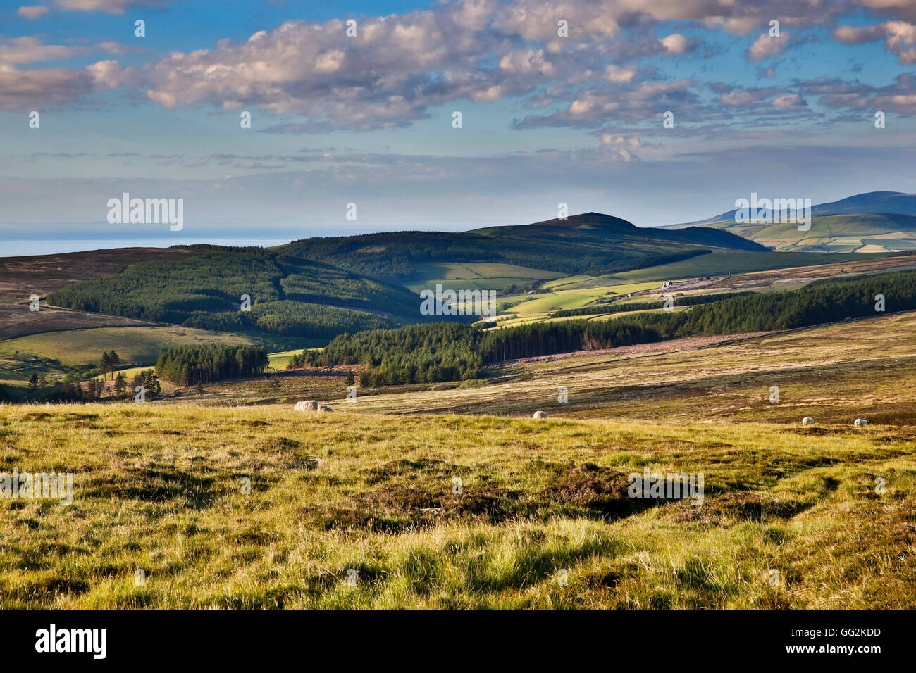 Dalby Moor; Isle of Man; UK Stock Photo Alamy
