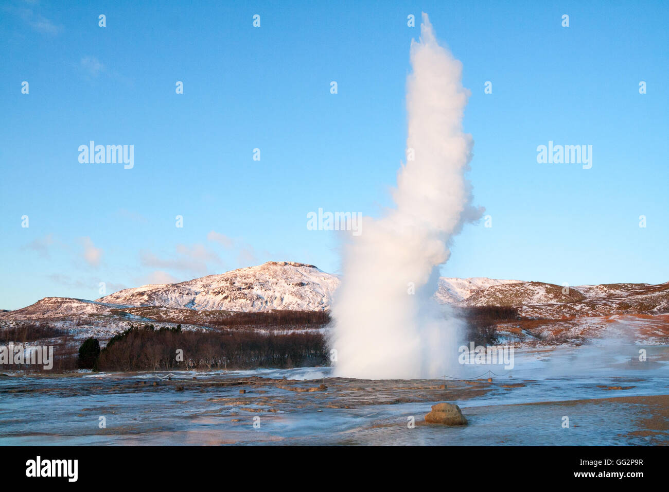 Strokkur geyser erupting during Winter in Iceland Stock Photo - Alamy